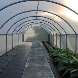 Filet anti-insecte TIP 260 installé sur une structure de serre agricole